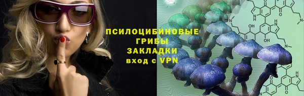 стаф Медногорск