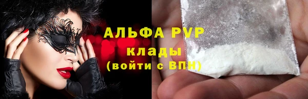 стаф Медногорск