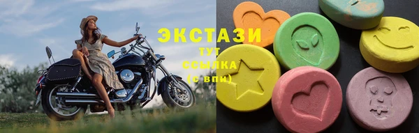 стаф Медногорск