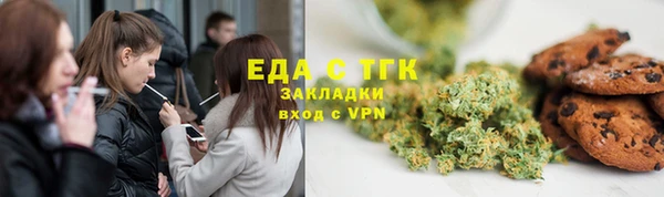 стаф Медногорск