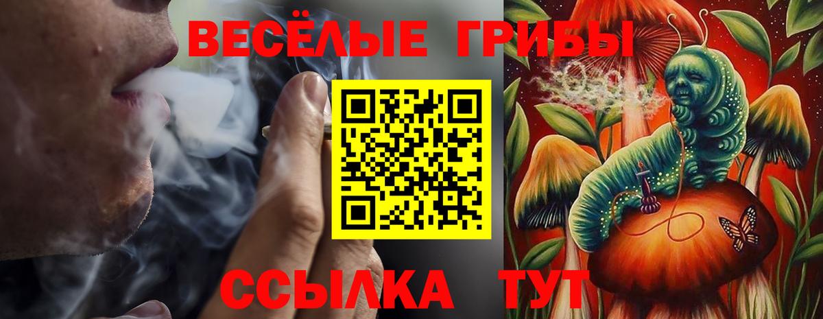 Галлюциногенные грибы MAGIC MUSHROOMS  Псилоцибиновые грибы GOLDEN TEACHER  Ангарск  Вход с VPN 