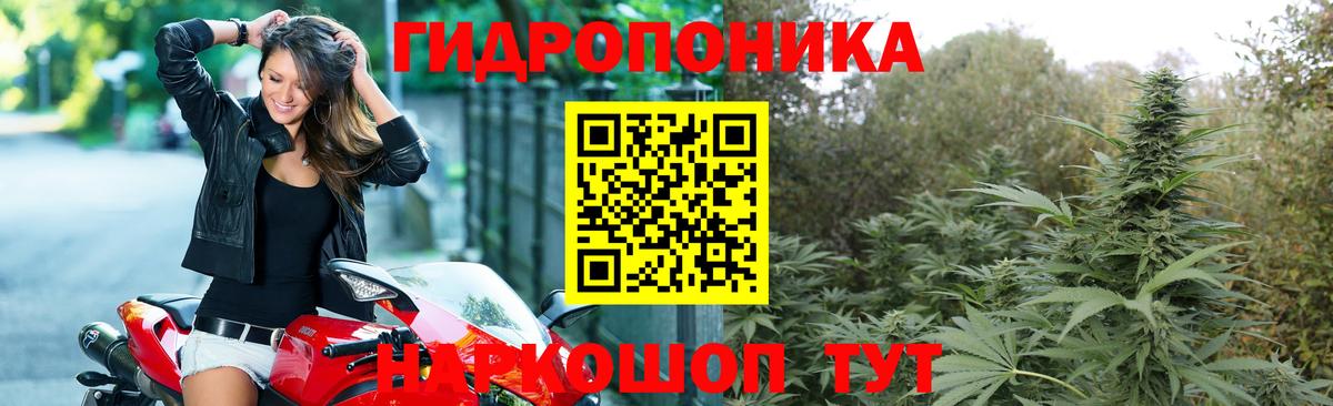Каннабис планчик  Бошки марихуана AK-47  Вход с VPN  Конопля AK-47  Бошки марихуана MAZAR  Ангарск 